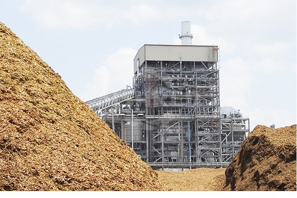 Biomassefeuerung/Zusatzfeuerung für Wärme und Strom